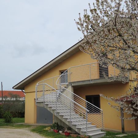 Il Ciliegio Guest House Treglio Exterior photo