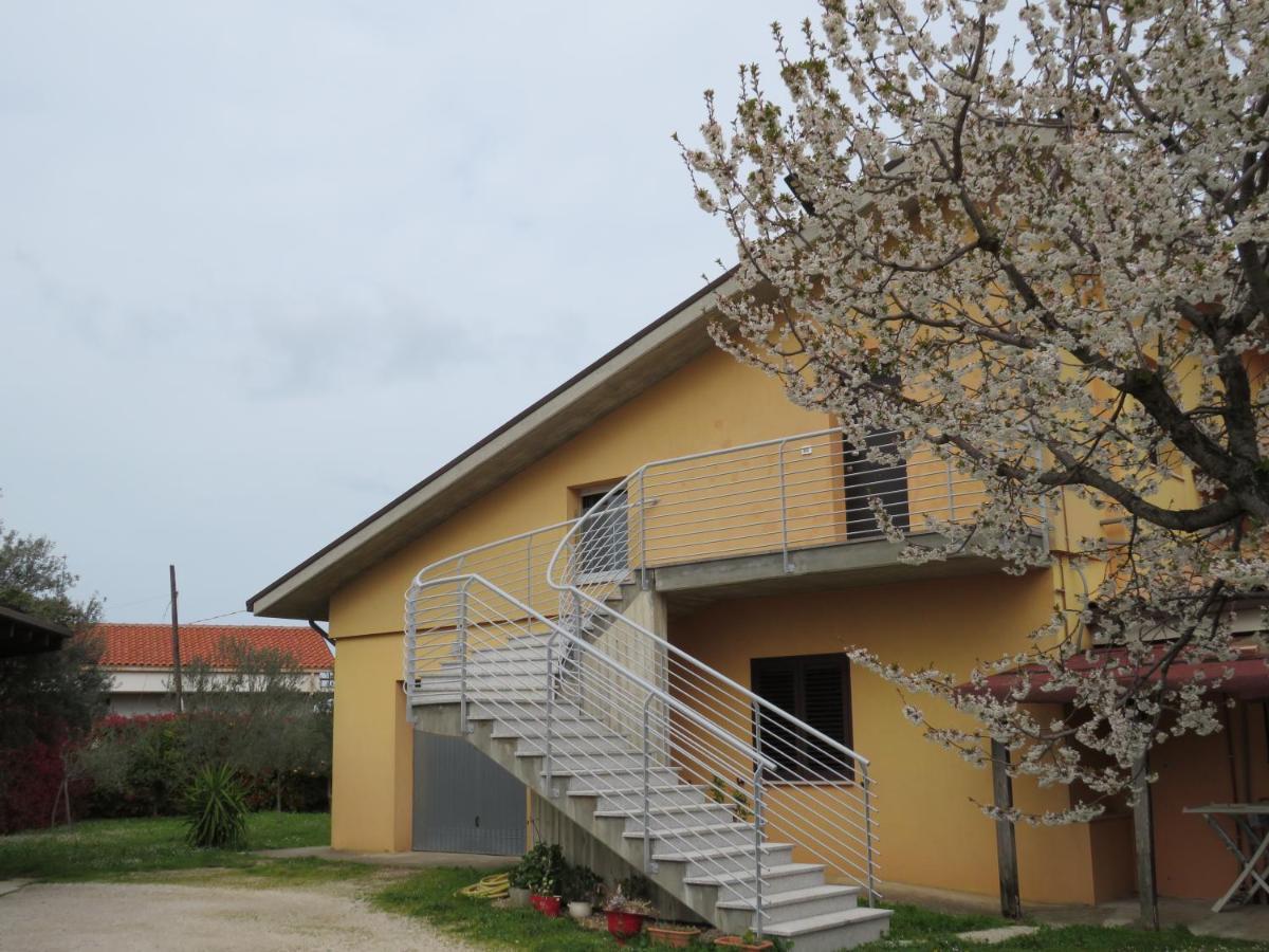 Il Ciliegio Guest House Treglio Exterior photo