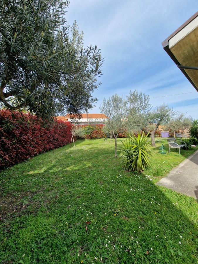 Il Ciliegio Guest House Treglio Exterior photo