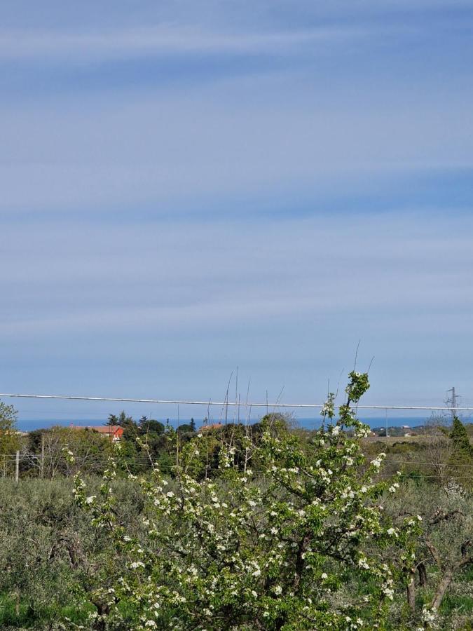 Il Ciliegio Guest House Treglio Exterior photo
